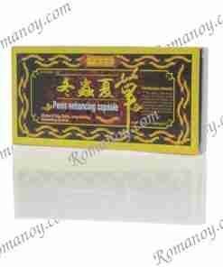 Cordyceps Sinensis